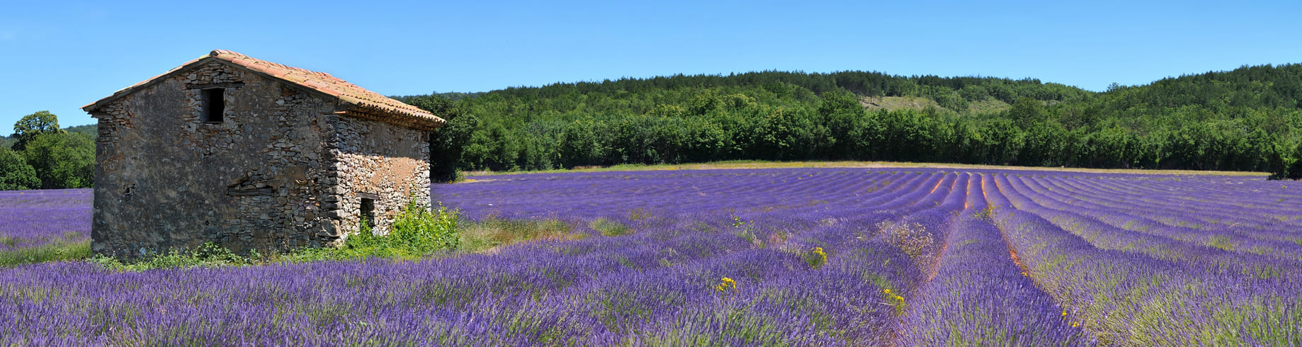 Mas proven�al dans le Luberon