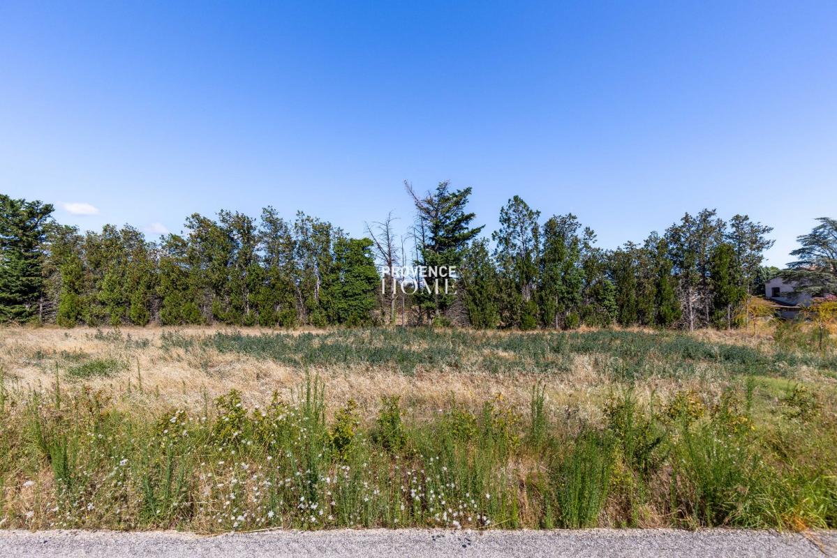 Vente Terrain L Isle Sur La Sorgue Provence Home